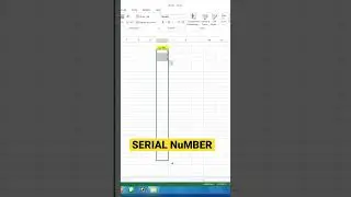 Serial Number #microsoftword #word #hindityping #computer #msword #msoffice #microsoft #office