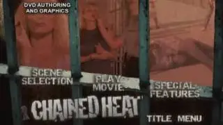 Hyper Image 2009 Demo.flv