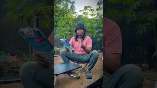 ￼Pupuk Hara Garuda Mesh 4000 1KG - Calbor Fertilizer - Anti Rontok Dan Jamur - Original