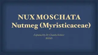 Nux Moschata || Allen&rsquo;s Keynotes || Well Explained 