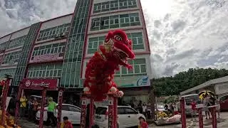 lion dance high pole performance for shop opening by SSG sabah