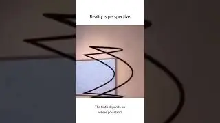 Reality is perspective #facts