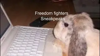 Some freedom fighters sneakpeaks