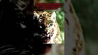 Everyone knows Smilodon &mdash; but it was just one of many prehistoric killers &rdquo;#animals #prehistoric