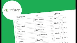 1. Test Data Generation || Mockaroo.