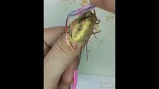 Nail art design#simple mail art with eyeshadow#2024nail art#tiktokbts