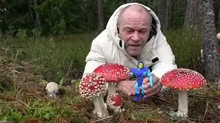 Lelutuokio