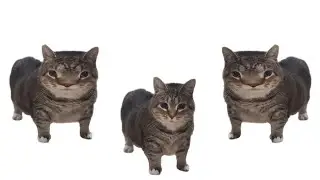 Gwenchana ding ding ding OIIAOIIA version