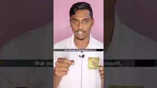 This Indian Village is full of Millionaires!😲❌