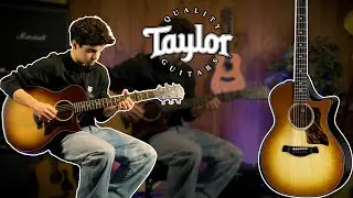 Taylor Builder's Edition 314ce LTD Kona Burst Топ ДЕМО | Суман Музыка