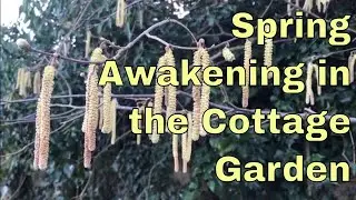 Spring Awakening in an English Cottage Garden | Slow Living | Planting | Gardening | Piano Music