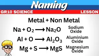 4) Naming metal and non metal Gr 10