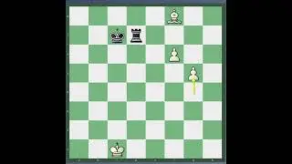 Endgame tactics #chess #rook #chesscom #siciliandefense #chessgame #chessproblems #chesspuzzles