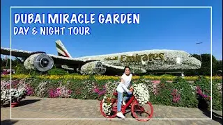 DUBAI MIRACLE GARDEN DAY & NIGHT TOUR | Trip Koto
