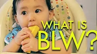 What is BABY LED WEANING? 4 Tips for BLW!