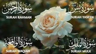 Surah Yaseen.surah Rahman.Surah waqia.Surah Mulk.beautiful recitation. 