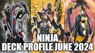 NINJA DECK PROFILE (JUNE 2024) YUGIOH!