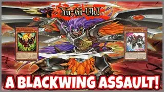 Yu-GI-Oh! TCG/OCG! Blackwings+Assault Synchron! January 2023