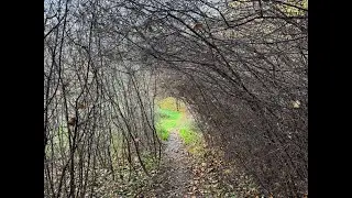 Round Reading Walks Day 3: Henley-on-Thames To Pangbourne