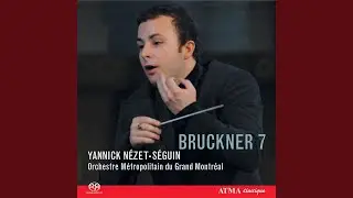Symphonie No. 7 en mi majeur: IV. Finale (bewegt, doch nicht schnell)