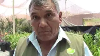 Vivero Ica Verde, Inauguración