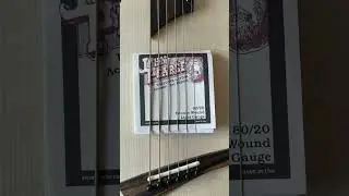 John Pearse strings ≋ Salz Baritone #18 [3260L ≋ Dr.Hyenik Deep Shorts]