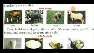 Useful Animals, Lesson-3, Class-2, EVS, Environmental Studies By Ms. Jyoti