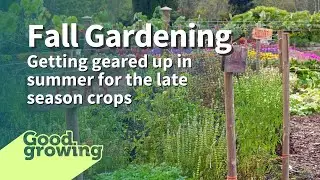 Time to start fall garden crops | #GoodGrowing