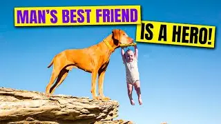 10 Amazing Pets Who Became Lifesaving Heroes