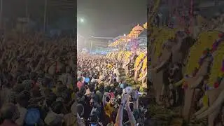 Thrissur Pooram 2024   #thrissurpooram #thrissurpooram2024  #thrissur