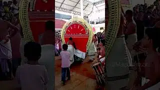 പന്നി വാഹനത്തിൽ ചാമുണ്ഡിയമ്മയുടെ യാത്ര കണ്ടിട്ടുണ്ടോ #devotionalhits  #theyyam Malabar