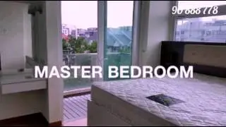 Palm Oasis 861sqft Walkabout
