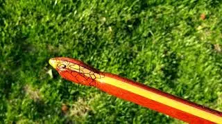 Custom snake hook