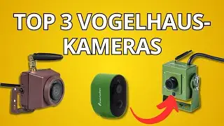 Vogelhauskamera Vergleich 2025 – Finde die beste Kamera für dein Vogelhaus!