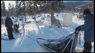 Experts Know: Sled Safety
