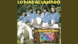 Soledad