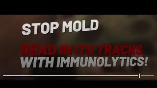 Stop Mold Dead in it's Tracks - Order your Immunolytics DIY test kit today