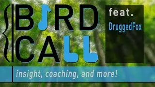 Bird Call Ep. 2 - Feat. Druggedfox (Coaching/Insight)
