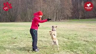 PS&Iacute; TRIKY - TLAPKA TV - &Scaron;KOLA TRIKU 3