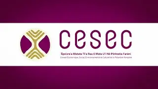 C'est quoi le CESEC ?