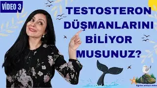 TESTOSTERON DÜŞMANLARI