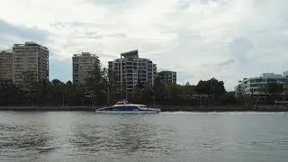 Play with CityCat in Brisbane