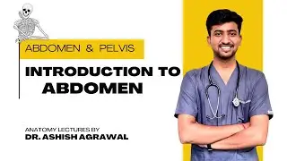 Introduction to Abdomen || Abdomen Anatomy || First Year MBBS || Anatomy Lectures by Ashish