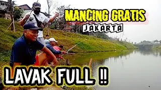 HIBURAN GRATISS , NU PENTING HAPPY..😂 #mancing #mancingliar #spotmancinggratis #shorts
