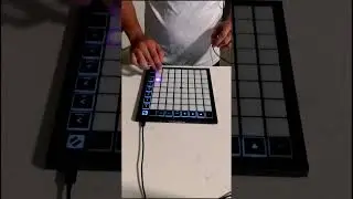 NEXT! Brazilian Phonk On Launchpad #shorts #phonk #music #brazilian #viral #phonkmusic #tiktok