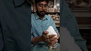 Shankh Blowing    #dakshinavarti Shankh #shankham #blowing #vibration #viralshort