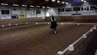 Glimten Nordsvensk bruks p&aring; Dressyrkurs 18/10 2014