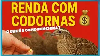 Income at Home with Quails &ndash; Easy Farming in the Backyard