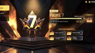 Prime level 7