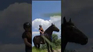 More info in the comments!🥰 #horse #bitless #equestrian #dreamcomestrue #dream #horsemanship
